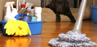 Commercial Cleaning in Aviemore